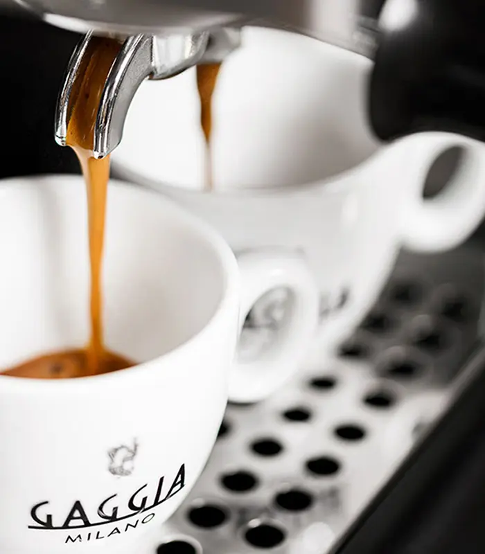 Gaggia cups deals