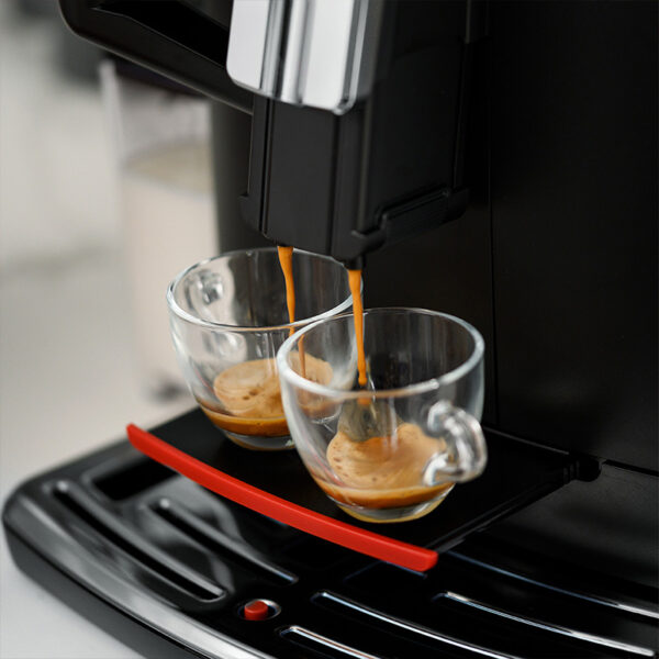 Gaggia Classic Evo Pro 2023 vs Gaggia Classic Pro 2019