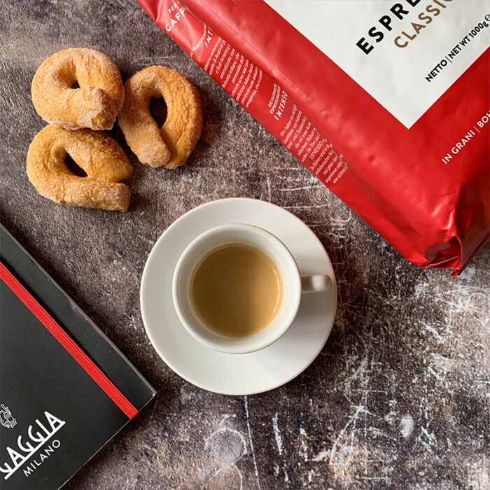 Gaggia Classic Evo Pro 2023 vs Gaggia Classic Pro 2019