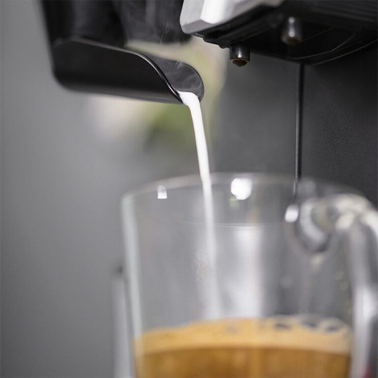 Gaggia Classic Evo Pro 2023 vs Gaggia Classic Pro 2019